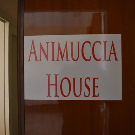 Casa Vacanze "Animuccia House" Roma מראה חיצוני תמונה