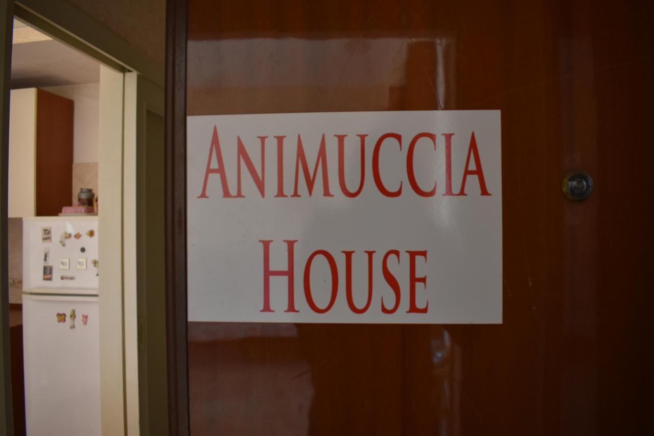 Casa Vacanze "Animuccia House" Roma מראה חיצוני תמונה